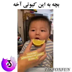 چ گوگولیههه😍😍