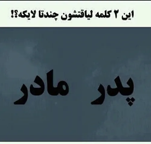 گوناگون kuzey 209115 - عکس ویسگون