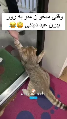 ای خدا نجاتم بده🔪🥲💔