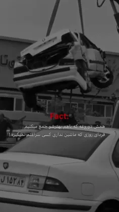 syahyjmal6 75083335