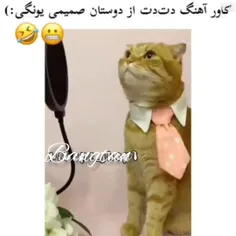 کاور اهنگ دت دت از همزاد های شوگا 😁😂