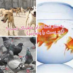 حیوانات حرام و حلال