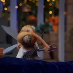 میزنیم کلتو باشی حتی کچل!