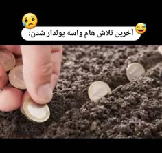 زدم تو کار جدید.دربیان سود خالصه،کسی خواست پولدار بشه یا 