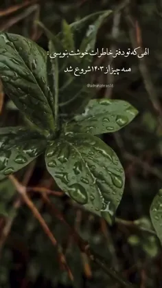 . سلام و ادب . ( همزمانی سال نو و بهار قرآن / الهی که .... ) .