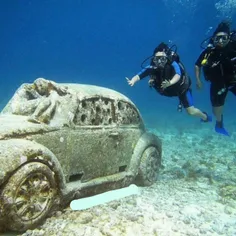 ماشین و راننده مکزیکی که 83 سال است در دریای این کشور مفق