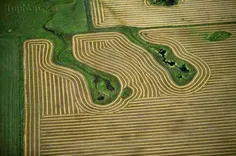 عکس های هوایی از مزارع کشاورزی (3)