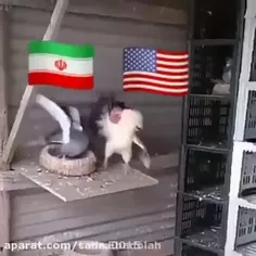 ⭕این است و جز این نیست 😂