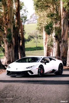 #Lamborghini