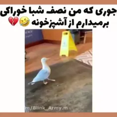 همین یه دقه پیش عملیات داشتم با موفقیت انجام شد 🙃🤣🤣🤣