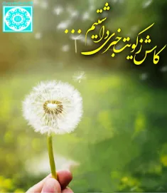 السلام علیک یا اباصالح المهدی عج