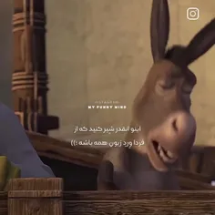 پخش کنید فردا ورد زبونا بشه 😂😂