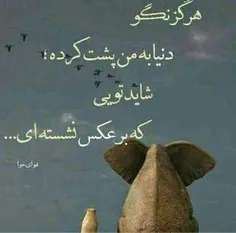 بگوییــــــد برگـــــردد...!!!