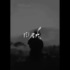 فالو کن گلبم پشیمون نمیشی هروز‌ کلیپ های خفن میزارم🥺💜