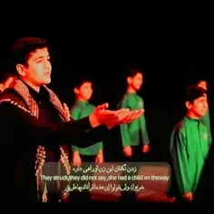 شایان عرفانیان 