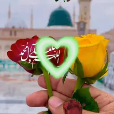 🌹بر نور جمال 