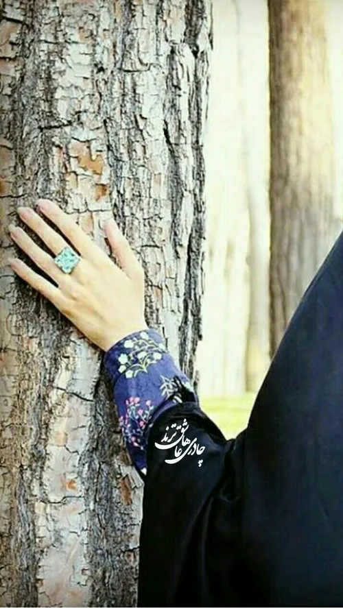 چادر مشکی به سردارد شب مهتاب من