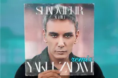 🗣 Shadmehr Aghili