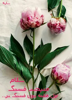 ❀ ﴾﷽﴿ ❀