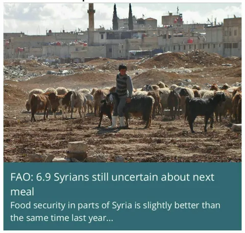 ⭕ ️فائو گزارش داد: ۶.۹ میلیون نفر از مردم سوریه از داشتن 