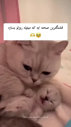 کیوتاا🥺❤️