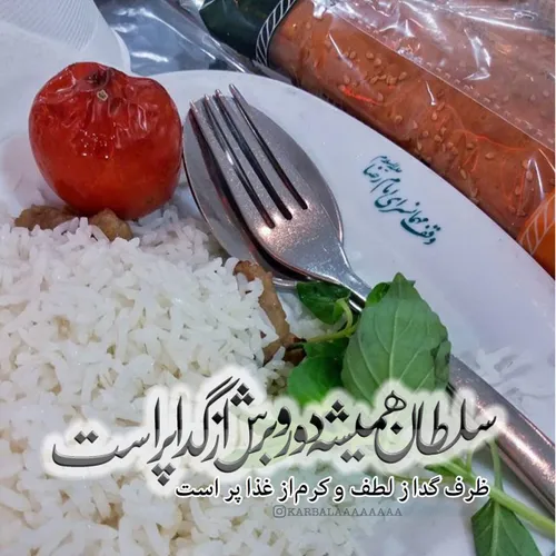 سلطان همیشه دور و برش