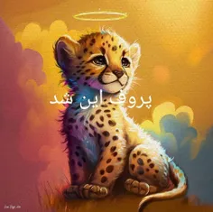 پروف این شد عکس یوزپلنگ ایرانی پیروز که فوت کرد 🙃🙂💔😭😭