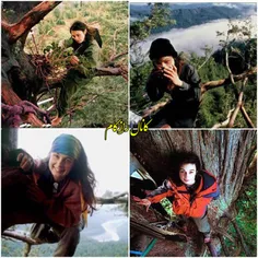 ‏جولیا ⁩، فعال محیط‌زیست آمریکایی، به مدت ۷۳۸روز روی درخت