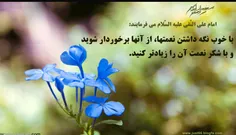 حدیث (15) امام علی علیه السلام :