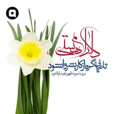 صد شاخه گل محمدی با صلوات