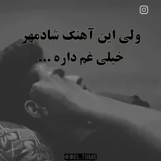 شبگرد 