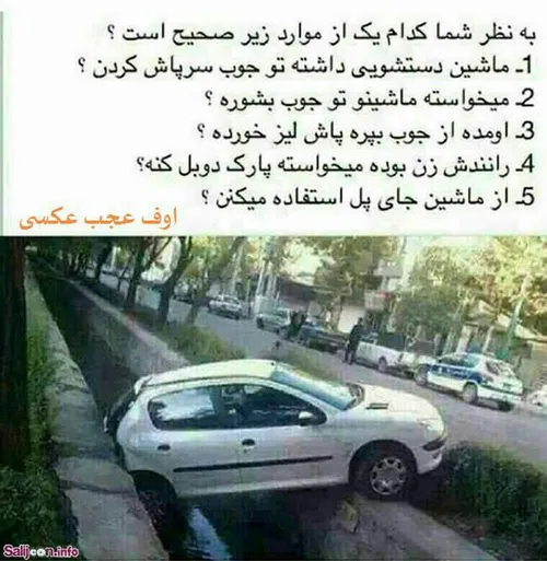 IQخودشونو نشون بدن