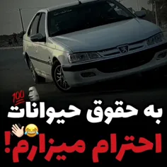 بفهم حیوان