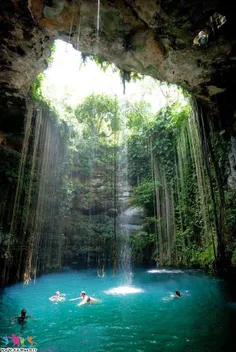 کی دوست داره یه بار اینجا شنا کنه؟؟؟
