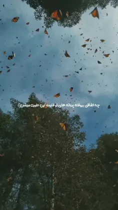 با چه چیزی انقدر خوشحال میشی؟🦋💙🖇️