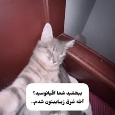 اینجوری مخ بزن 😄😊