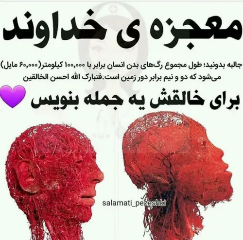 دانستنی ها بخون علمی