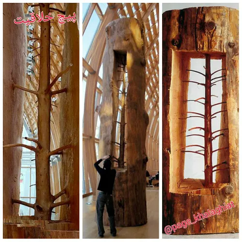 هنرمند ایتالیایی با حذف دقیق حلقه های رشد یک درخت کهنسال،
