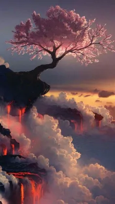 درختی در آتشفشان
