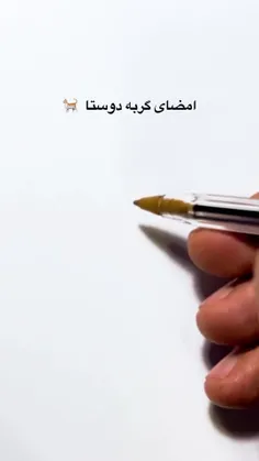 امضای گربه ای•~•