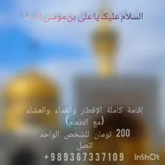 r3956322 45828411