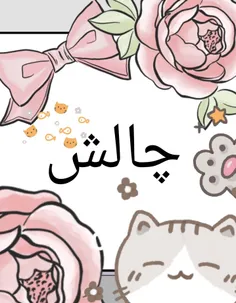 لازم هم نیست رنگ کنید