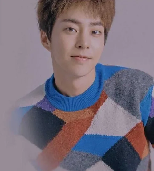 pic xiumin exo exo l