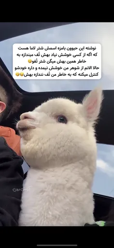 خیلی داره خودشو کنترل میکنه😂کنترل نکن مرد تف کن بره😂😂😂