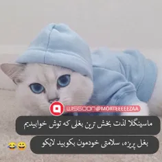 سلامتی خودمون🤗😃😂