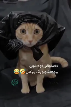 مگ ن🤣؟ 