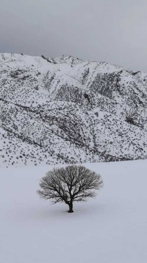 تنهایی