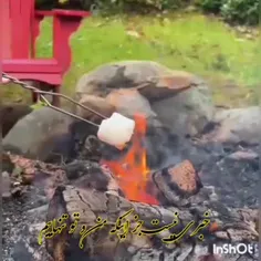 🍁خبری نیست جز اینکه من و تو تنهاییم🍁