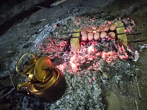 یه شب عالی جاتون خالی