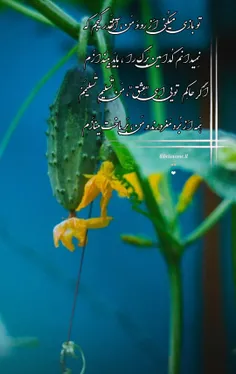 🍒🌱توبازی  میکُنی اَز رو وَ مَن، آنقَدر گيجم که